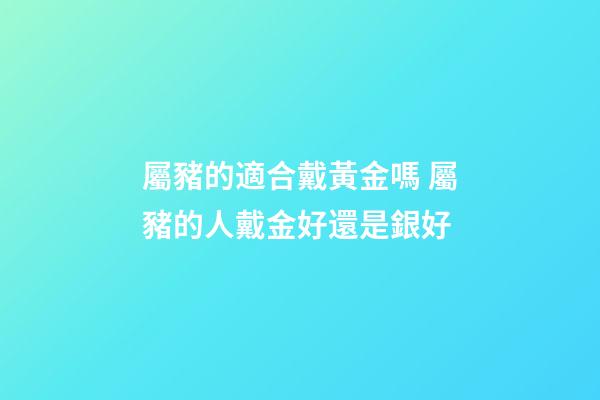 屬豬的適合戴黃金嗎 屬豬的人戴金好還是銀好-第1張-觀點-玄機派